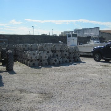 IMG_1145 IMG_1145