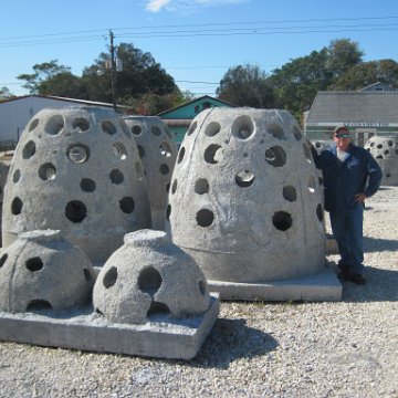 IMG_1147 IMG_1147