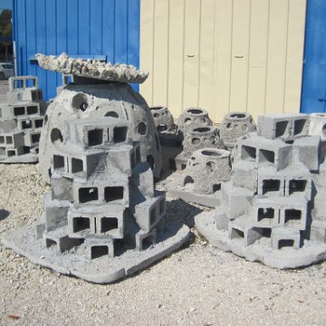 IMG_1153 IMG_1153
