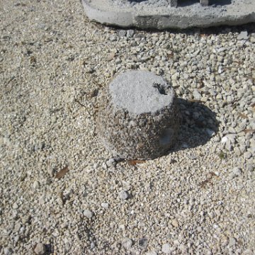 IMG_1158 IMG_1158