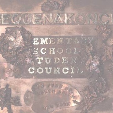 Pequenakonck School Project Addition to SSA reef ball reef