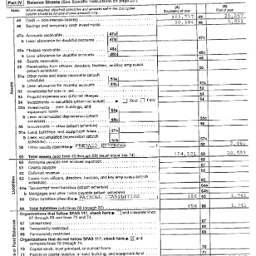 irsform990page3 irsform990page3
