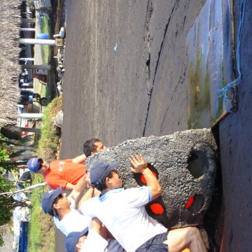 DSC01503 DSC01503