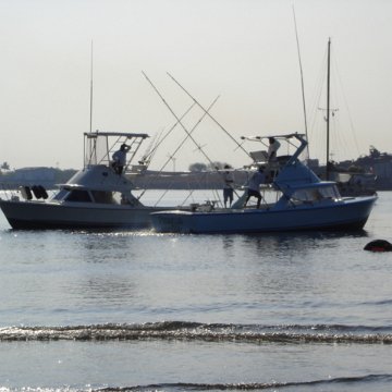 DSC01534 DSC01534