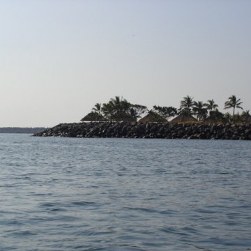 DSC01539 DSC01539