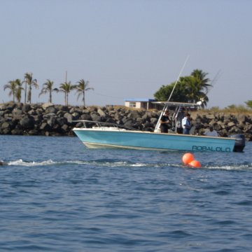 DSC01540 DSC01540