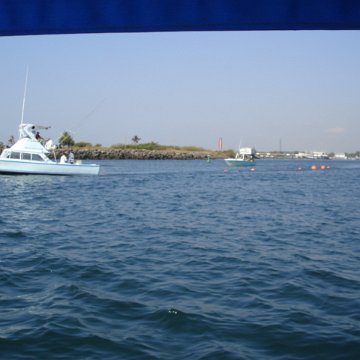 DSC01544 DSC01544