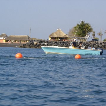 DSC01545 DSC01545