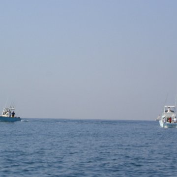 DSC01557 DSC01557