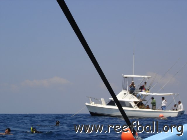 guatemalamarinebiologistpics_109