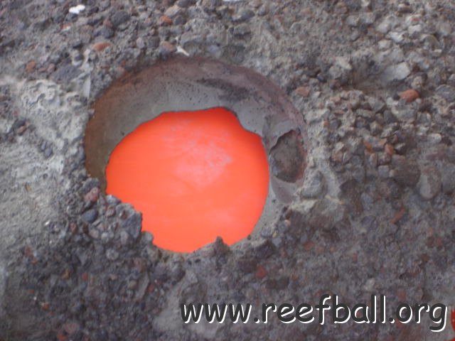 guatemalamarinebiologistpics_023