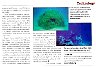 ConcreteProducerSept1998page3.gif