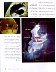 PDONewsNo2slash98OMANpage3.jpg