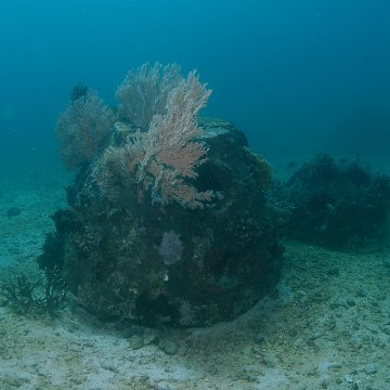 dsc_0194 dsc_0194