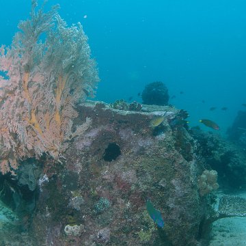 dsc_0206 dsc_0206