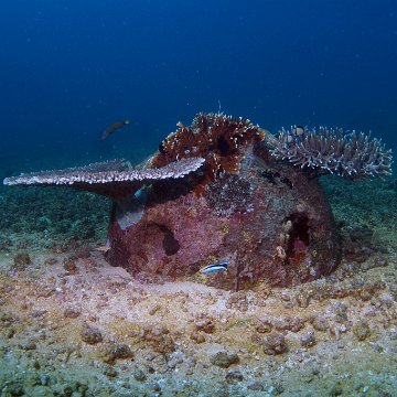 dsc_0153 dsc_0153