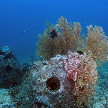 dsc_0162 dsc_0162