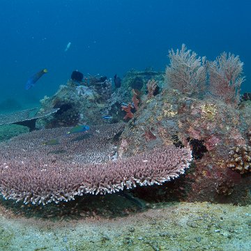 dsc_0176 dsc_0176