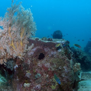 dsc_0206 dsc_0206