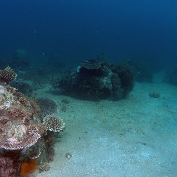 dsc_0220 dsc_0220