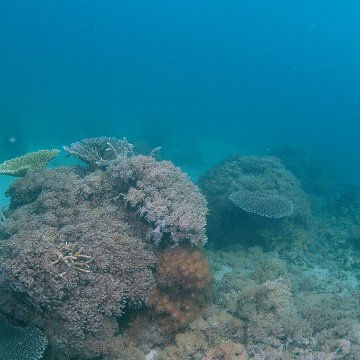 dsc_0216 dsc_0216