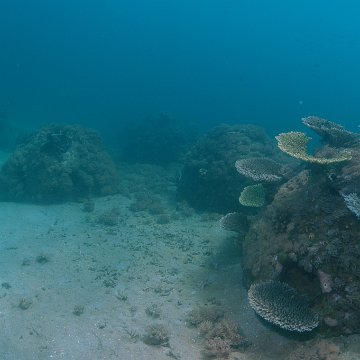 dsc_0218 dsc_0218