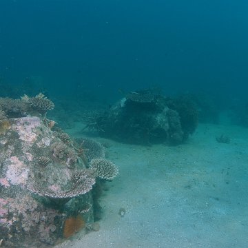 dsc_0219 dsc_0219