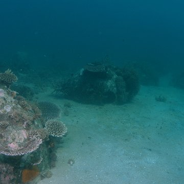 dsc_0220 dsc_0220