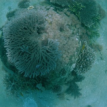 dsc_0231 dsc_0231
