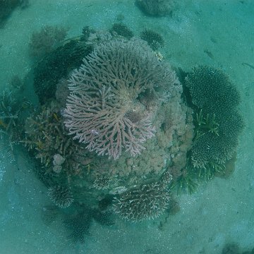 dsc_0233 dsc_0233