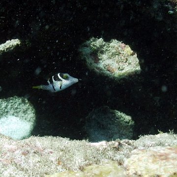 IMG_0024 IMG_0024