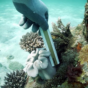 IMG_0048 IMG_0048
