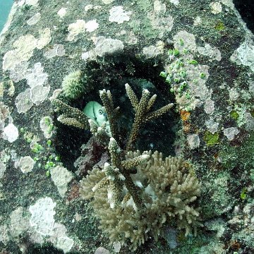 IMG_0095 IMG_0095