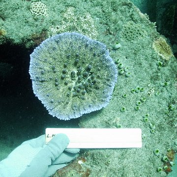IMG_0161 IMG_0161