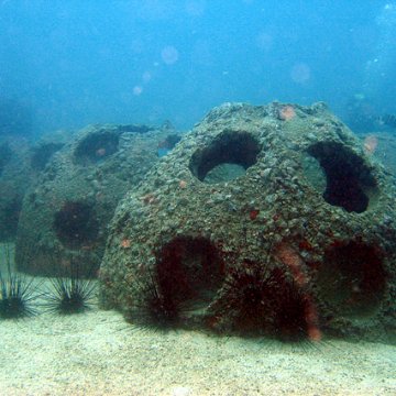 Italian Reef Ball Projects and Photos