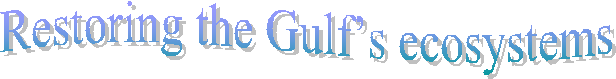 Restoring the Gulfs ecosystems