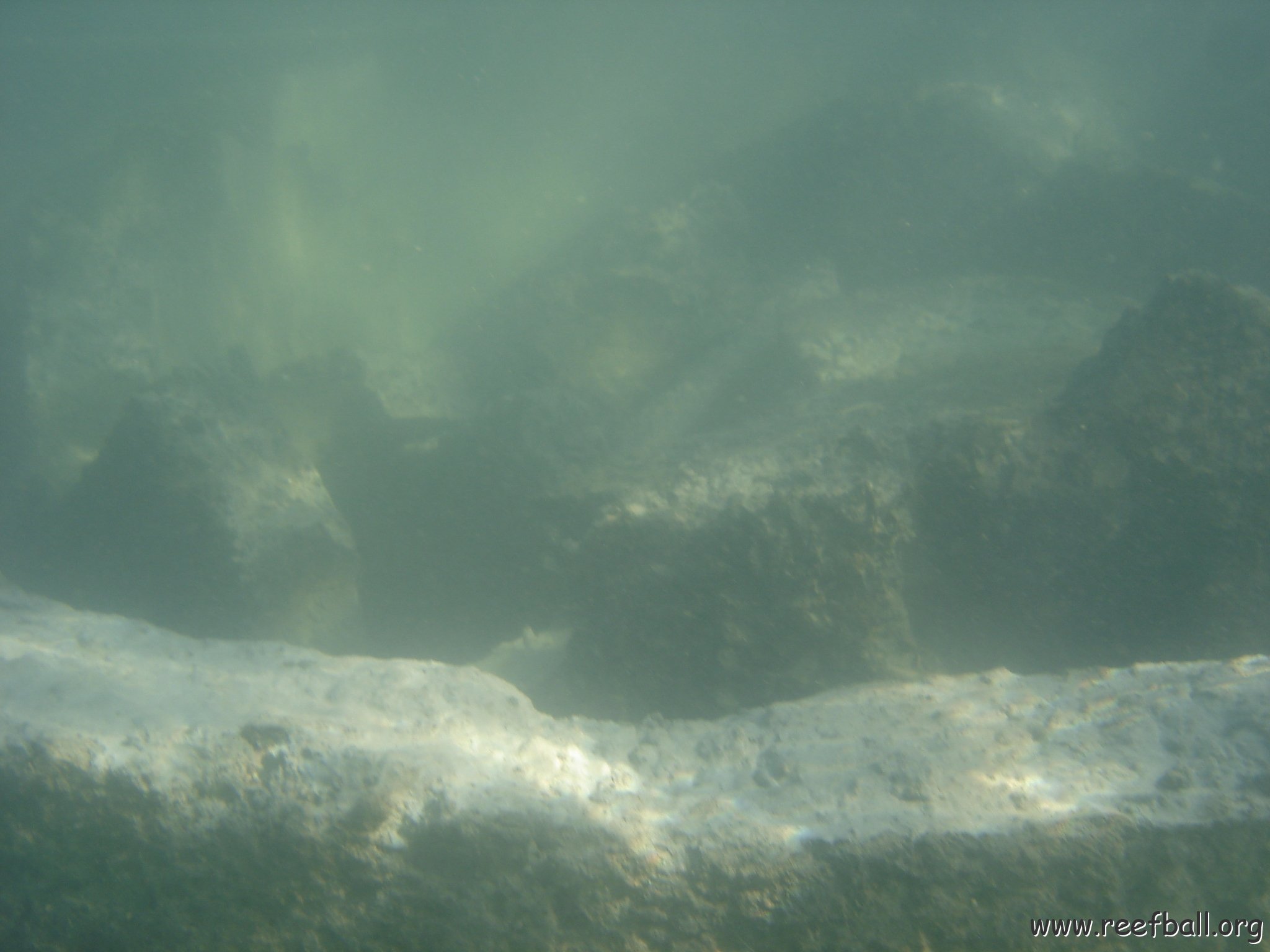 back to selinga-deploy2 (15)