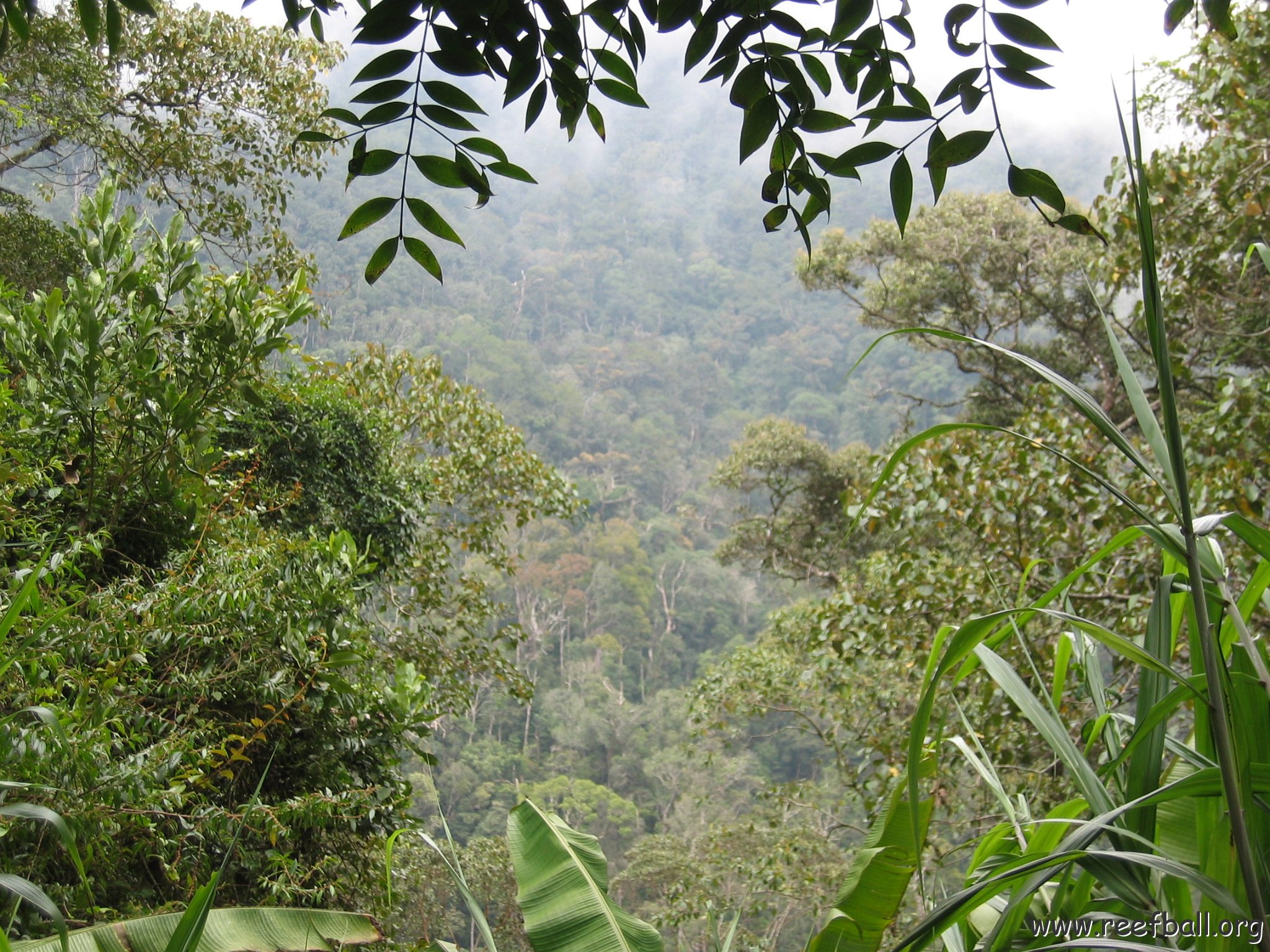 Harrys-Sandakan to KK (26)