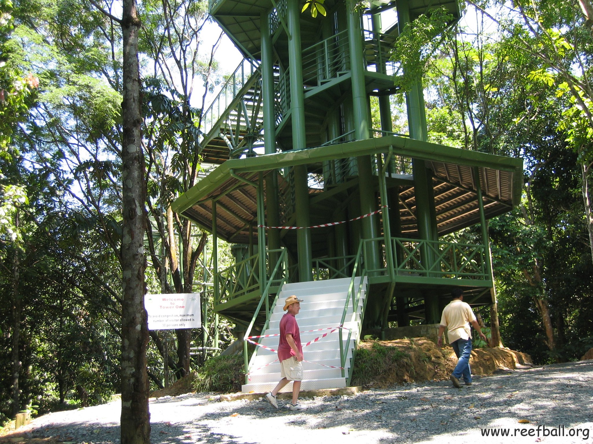 Harrys-rainforest center (9)