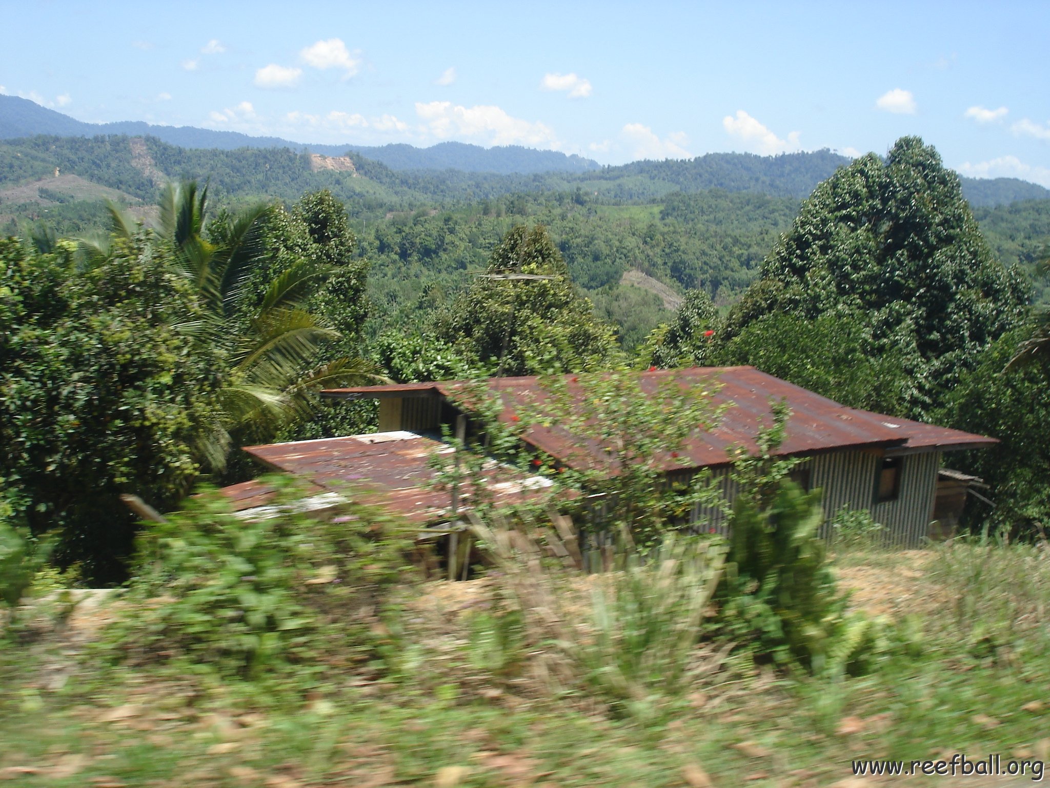 Road trip Sandakan - Kota Kinabalu (115)