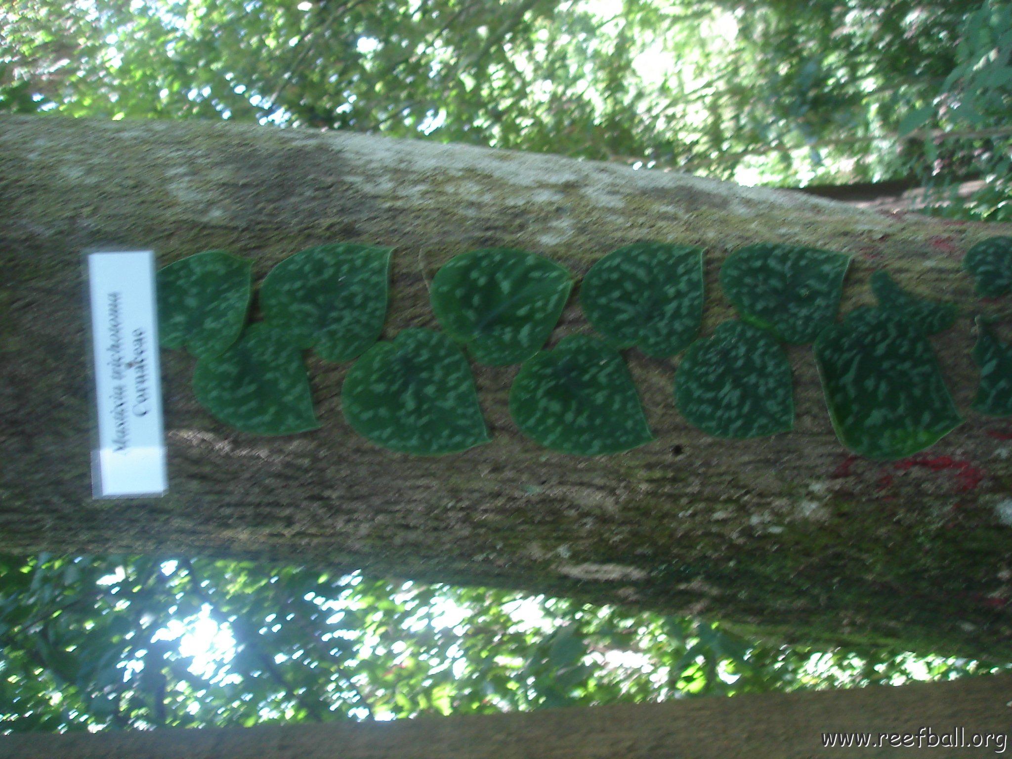 nature discovery center (92)