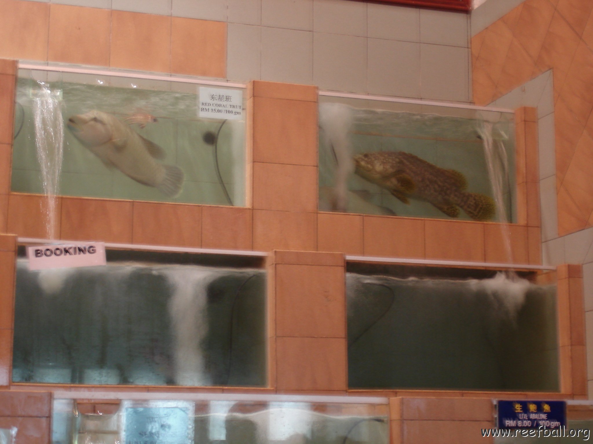 sites around Sandakan 4-07 (104)