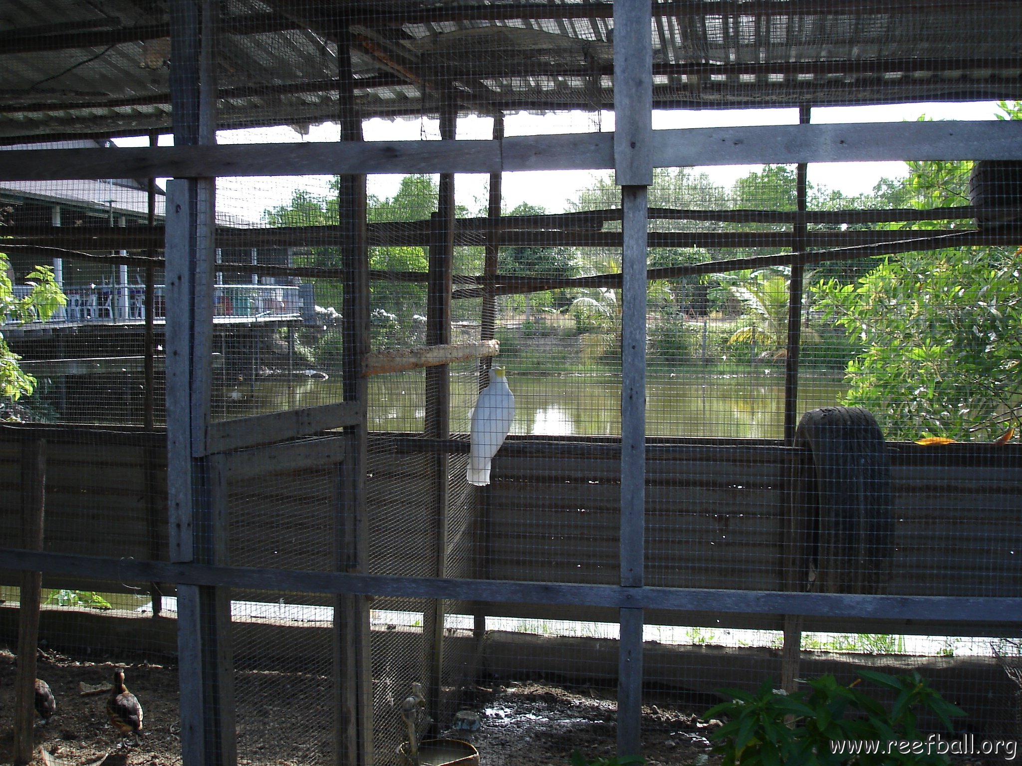 trip from Holiday Inn to Kuching (5)