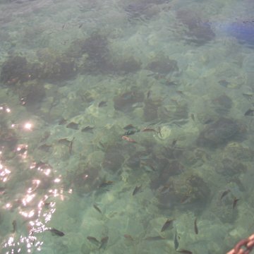 sabahborneo_120
