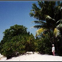 1994beach 1994beach
