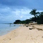 beach(49) beach(49)