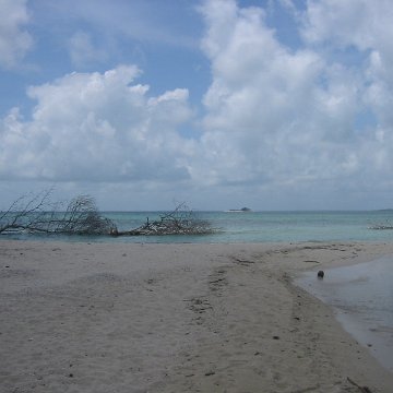 sabahborneodave_075 sabahborneodave_075