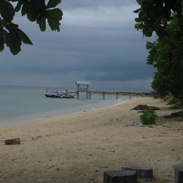 sabahborneodave_088 sabahborneodave_088