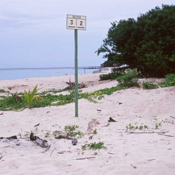 selingaan_beach1_sabah_1999 selingaan_beach1_sabah_1999