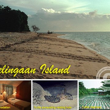 selingaan_tour selingaan_tour